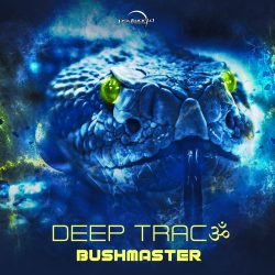 Bushmaster Artwork