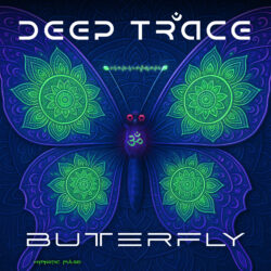 Butterfly Artwork